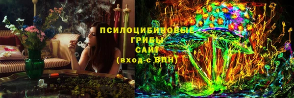 молекула духа Алзамай