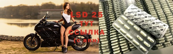 spice Алексин