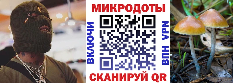ОМГ ОМГ ссылки Алушта Галлюциногенные грибы Cubensis
